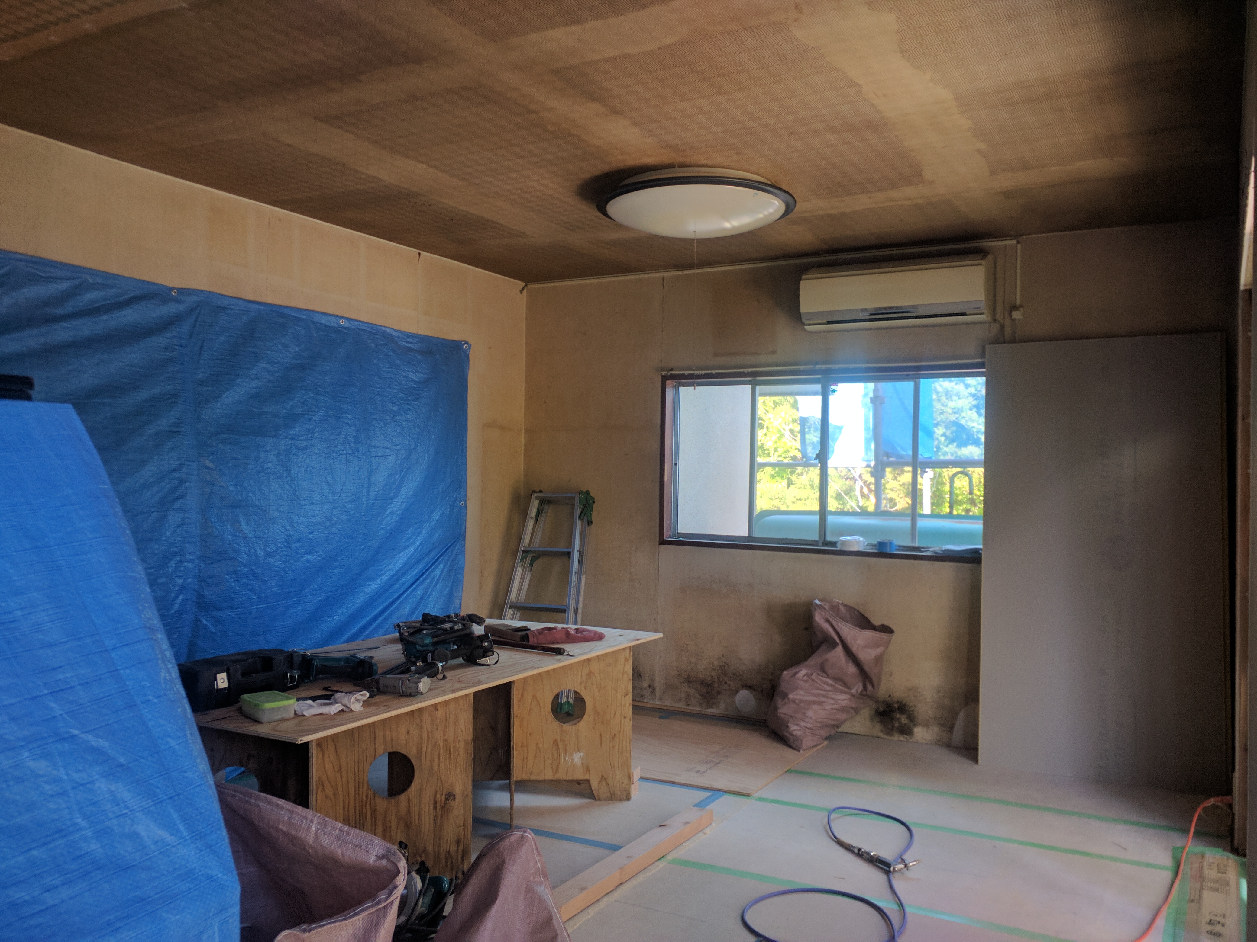 https://www.kizuna-station.com/blog01/Image/IMG_20190513_145449.jpg