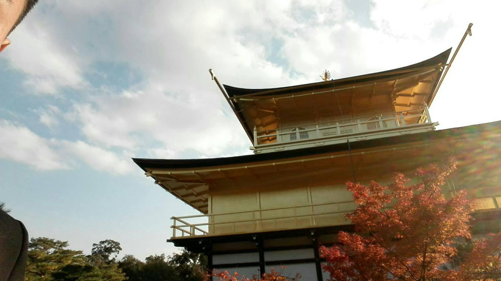https://www.kizuna-station.com/blog01/Image/IMG_3886.JPG
