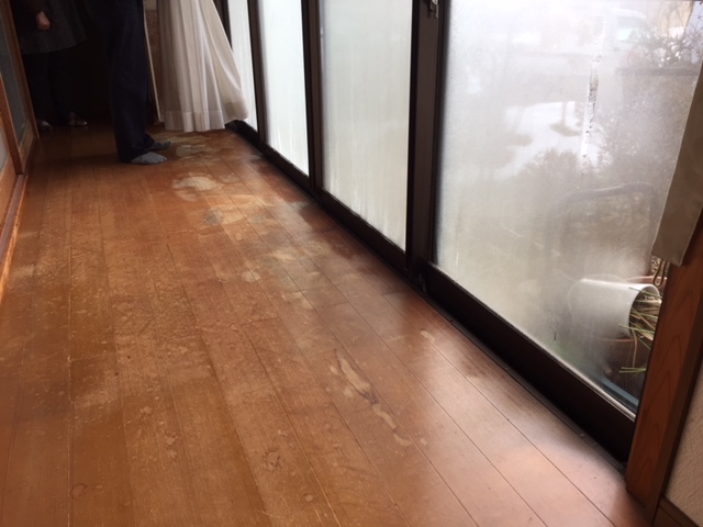 https://www.kizuna-station.com/blog01/Image/IMG_4216.JPG