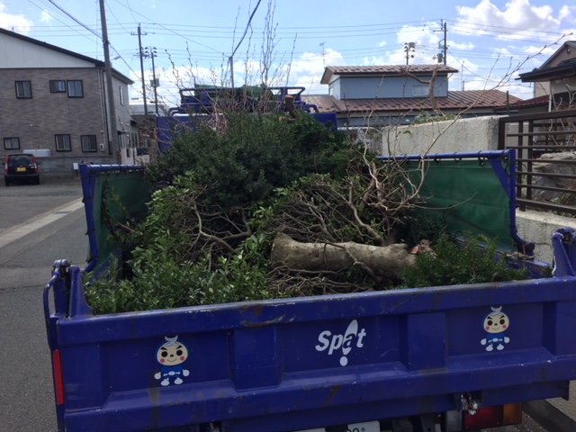 https://www.kizuna-station.com/blog01/Image/IMG_4945.JPG
