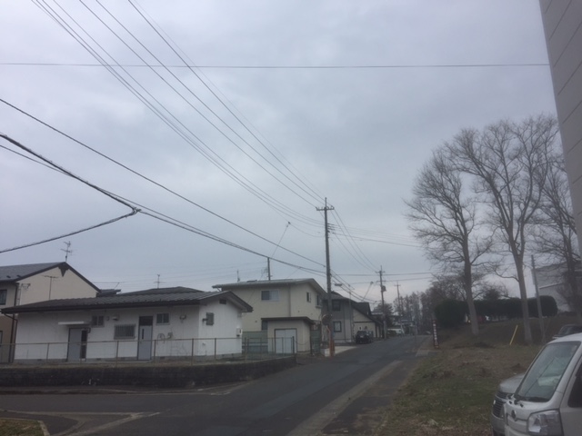 https://www.kizuna-station.com/blog01/Image/IMG_4968.JPG
