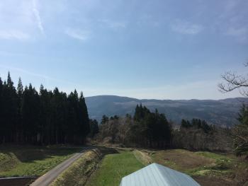 春真っ盛り.....屋根塗装