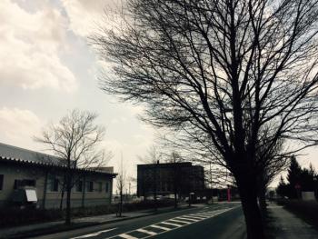 北上・・・日が昇り