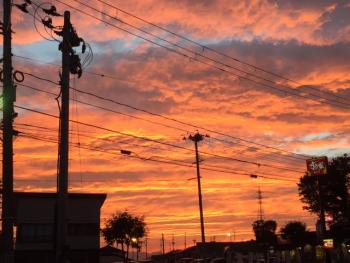連日の暑さの中の夕陽