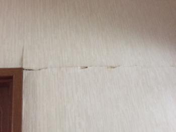 本物クロス・・・すっぴんクロス