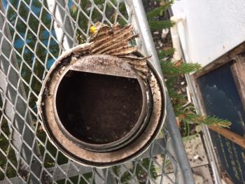 外装塗替えの前に診断が効果的