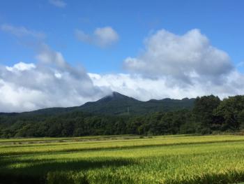 今日は工事日より・・・外装、雨樋工事