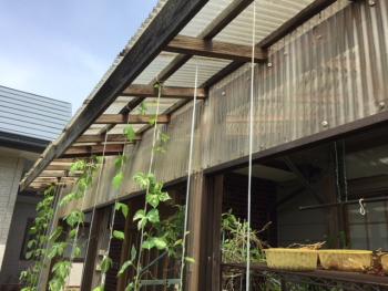 木製テラスからアルミテラス囲いに工事予定！