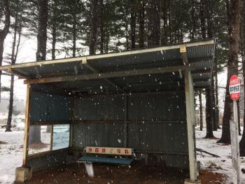 素早く屋根工事！