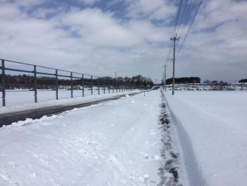 北上市はまだ雪・・・ジョギング