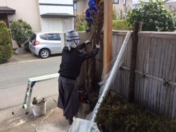 植栽の伐採もご依頼頂きました。