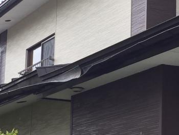 雪害工事の現調です。