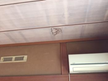 屋根、外壁塗装の現調です。