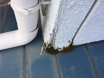 外装事業部　外壁・屋根塗替えの現調診断です。