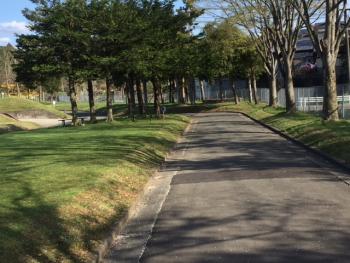 お仕事お休み　桜を見ながら