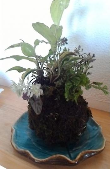 【町内会活動】