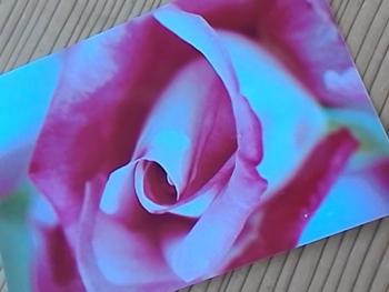 今日のハガキ５