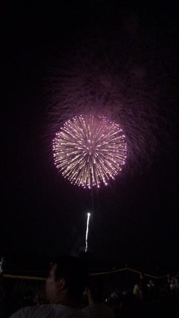 夏の風物詩ヾ(o´∀｀o)ﾉどーん。