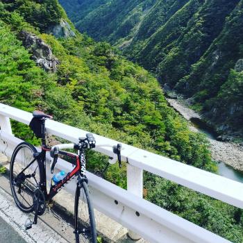 山でクマと遭遇か！？