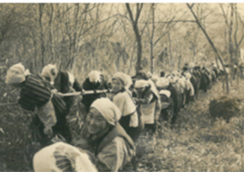 国見山平和観音像