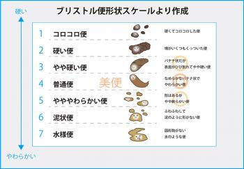 便は健康のバロメーター