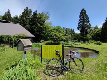 多聞院伊澤家と中尊寺ハス